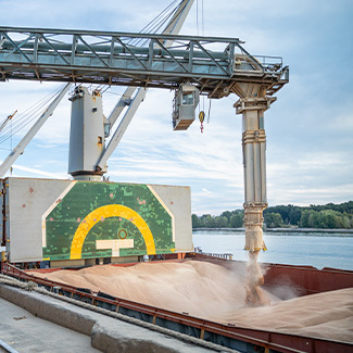 Grains that feed the world